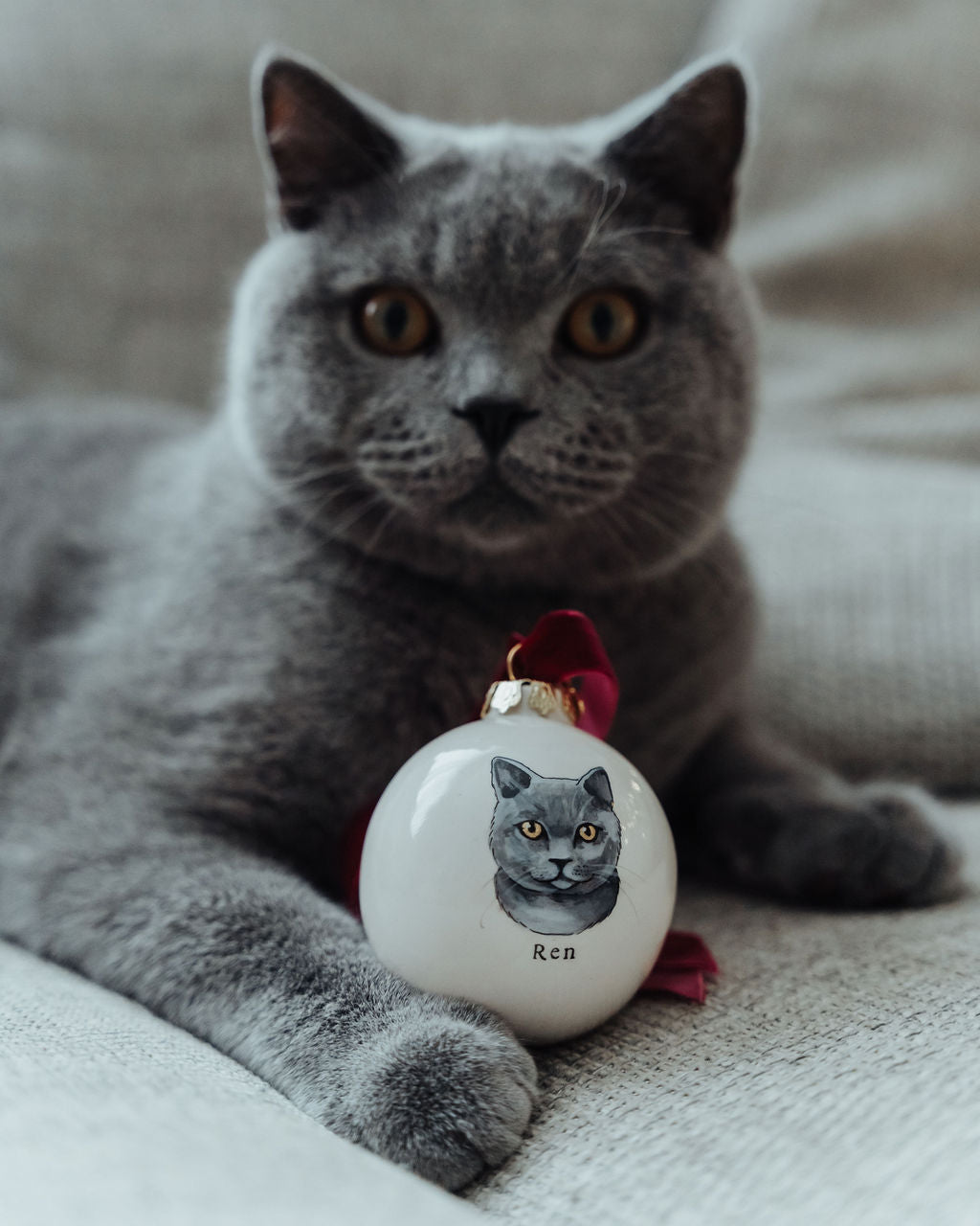 Baubles for Pets