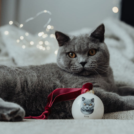 Personalised Cat Portrait Christmas Bauble