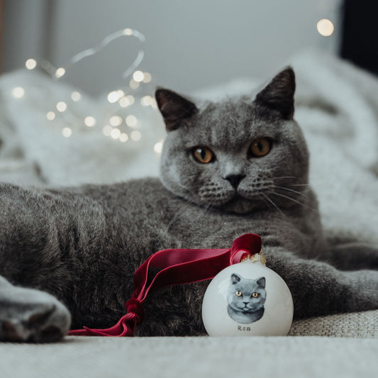 Cat Portrait Christmas Bauble