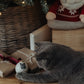 Bespoke Pet Portrait Christmas Bauble